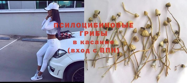 прущие крисы Баксан