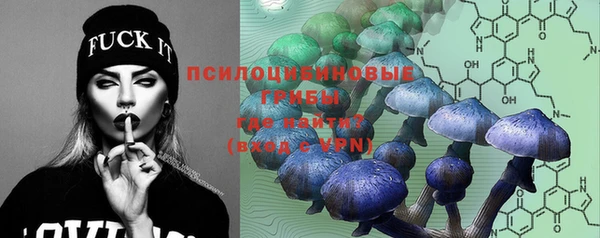 прущие грибы Заволжье