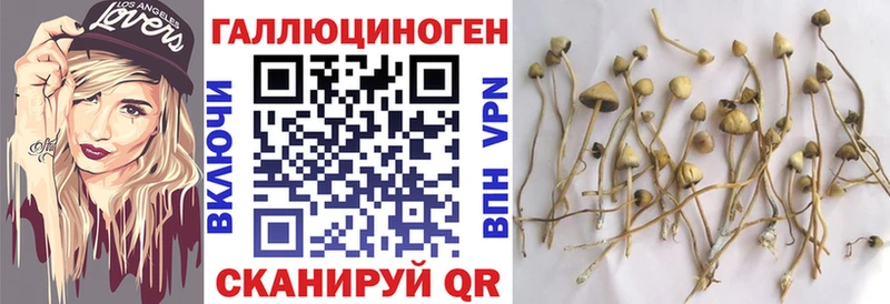 ссылка на мегу рабочий сайт  Ессентуки  Галлюциногенные грибы ЛСД 