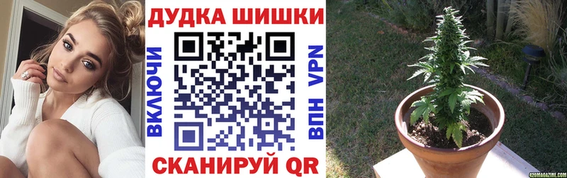 МАРИХУАНА MAZAR  мега онион  Ессентуки 